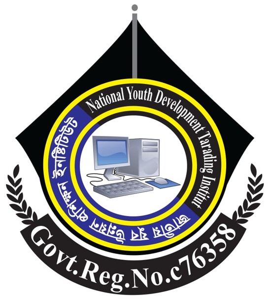 NYDTI Logo